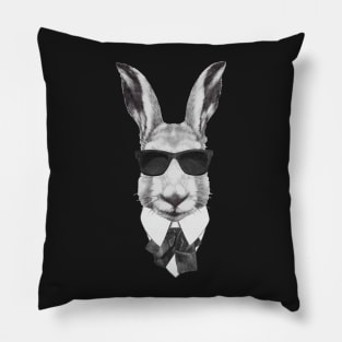 Rabbit In Black Pillow