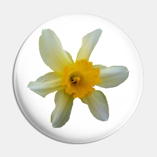 Beautiful Daffodil Flower Pin