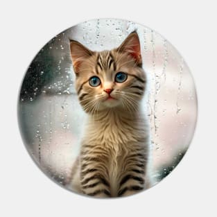 Cute Cats Beautiful Kittens Pin