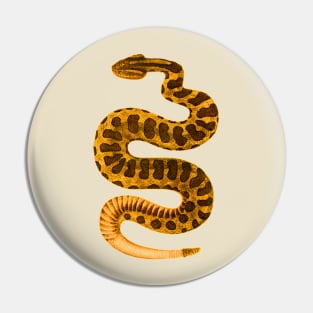 serpent,cobra,reptile,viper,venom,lizard,rattlesnake,king cobra,dragon,hydra,poison,venomous,plumber's snake,pythonidae,pythons,auger,python,squamata,serpentine,worm,big,ophidian,rattlesnakes,medusa,snakebite Pin