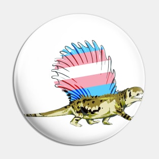 Trans-metrodon Pin