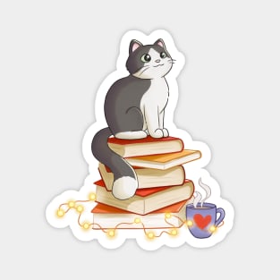 Cat Sitting On Books Magnet