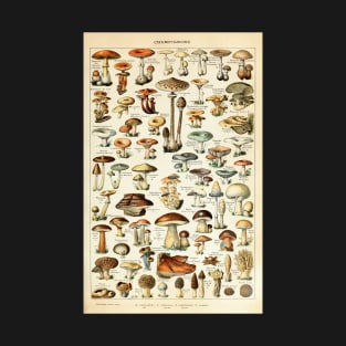 Champignon I Vintage French Mushroom Chart T-Shirt