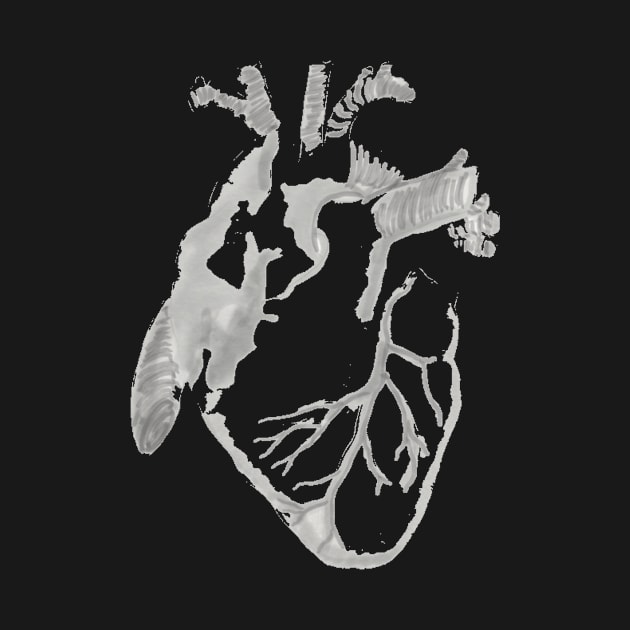 Anatomical grayscale heart by isarol