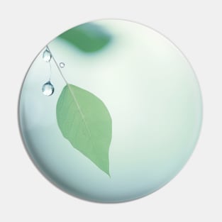 Leaf Water Drop Nature Serene Tranquil Pin