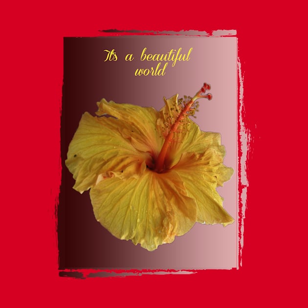 beautiful yellow hibiscus on gradient by Alina