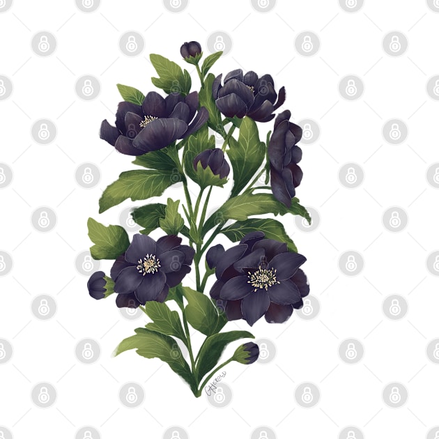 Dark Hellebore Floral Bouquet by catherold