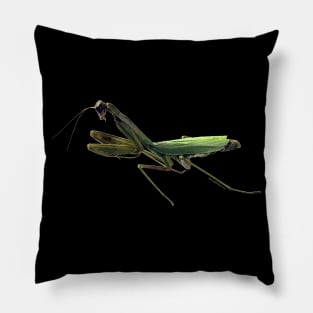 Praying Mantis Pillow