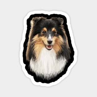 Shetland Sheepdog Magnet