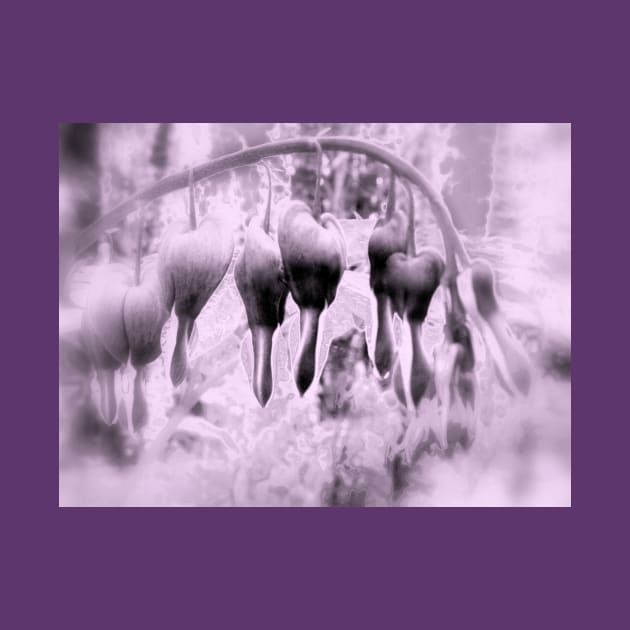 fairyland bleeding hearts, lavender tint by DlmtleArt