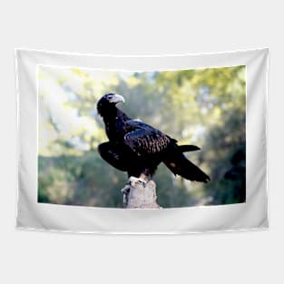 Wedge Tailed Eagle Tapestry