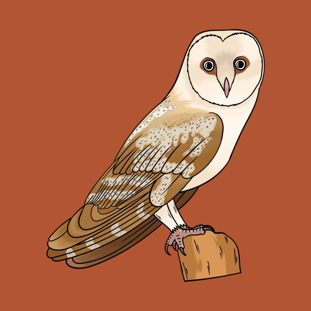 Barn owl bird cartoon illustration by Cartoons of fun