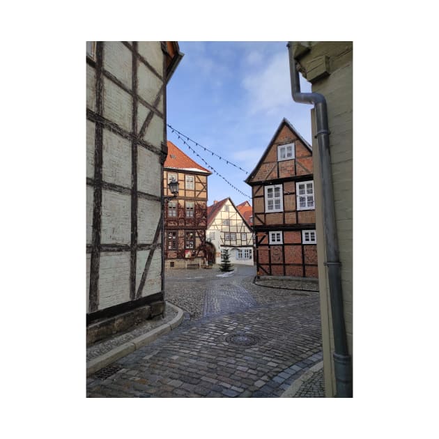Quedlinburg, Finkenherd by Gourmetkater