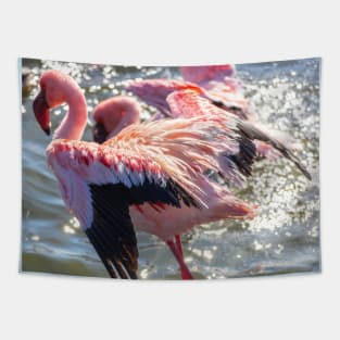 Namibia. Walvis Bay. Flamingos. Tapestry