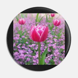 Red And White Petals Tulip Pin