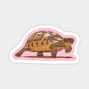 Cartoon Portrait Of Wild Baby Tortoise Plodding Magnet