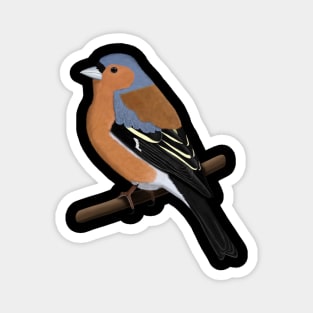 Chaffinch Bird Watching Birding Ornithologist Gift Magnet
