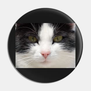 Black and White Cat Face, Gifts Cat Lovers Pin