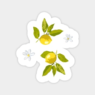 Lemon and flowers Magnet