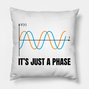 It's Just A Phase (Black Axis) Pillow