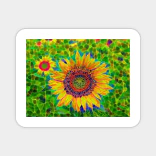 Sunflower field Magnet