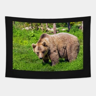 Cute Grizzly Bear Tapestry