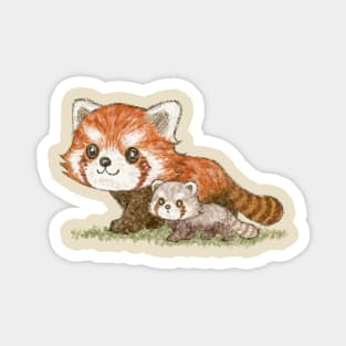 Red panda family walking Magnet