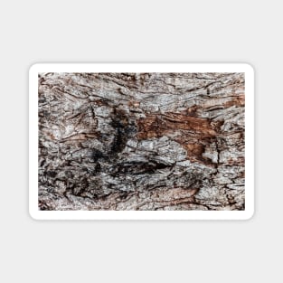 Rustic Orange & Brown Tree Trunk Magnet