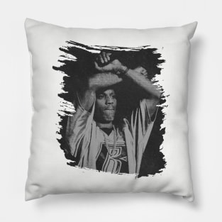 DMX // retro brush illustrations Pillow