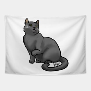 Cat - European Shorthair - Black Tapestry