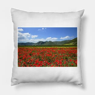 Poppies in Pian Grande Pillow