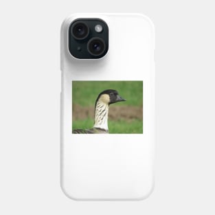 Nene - state bird of Hawaii Phone Case