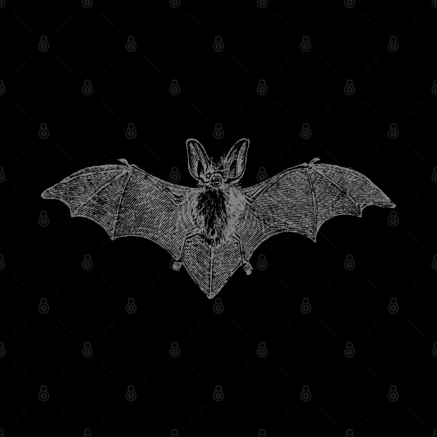 Vintage Bat by chrisraimoart