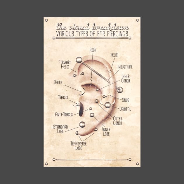 Vintage Style Ear Piercing Chart by Jarrodjvandenberg