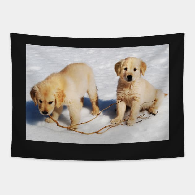 "Golden Retriever Puppies First Winter" Tapestry by LaurieMinor