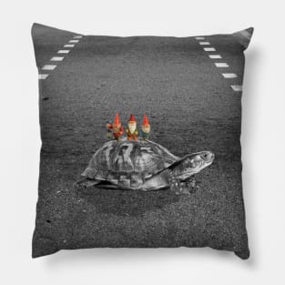 turtle Pillow