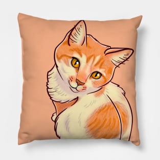 Peach Cat Pillow