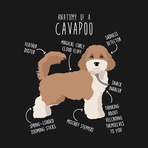 Parti Cavapoo Dog Anatomy by Psitta