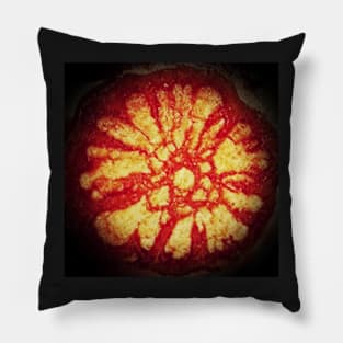 Chacruna Cross Section Pillow