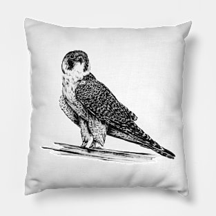 Peregrine Falcon in Nankin ink Pillow