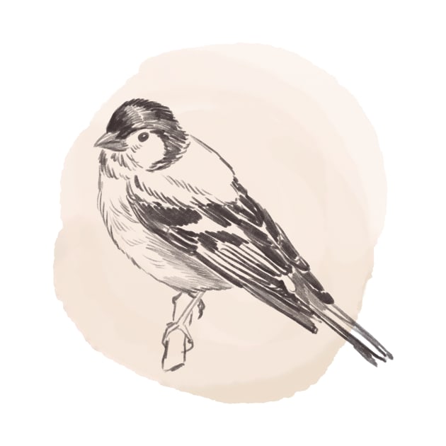 Hand drawn illustration of chaffinch bird by Lshvsk