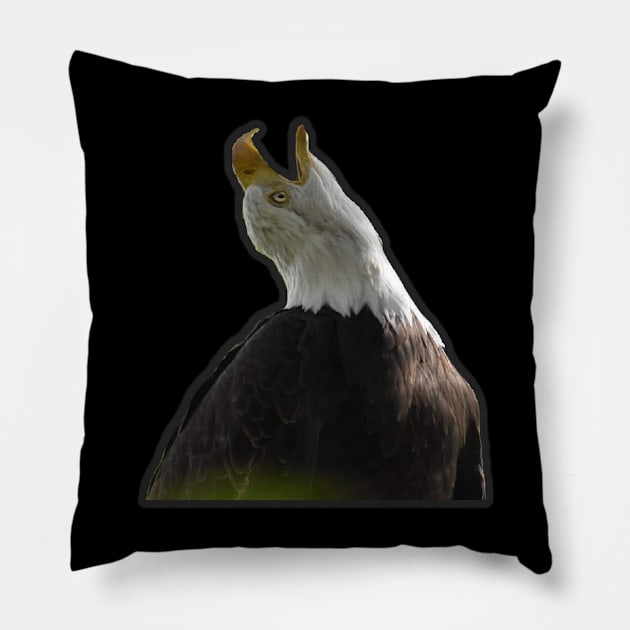 Eagle Pillow by Sharonzoolady