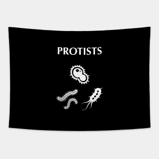 Protists unicellular organisms Tapestry