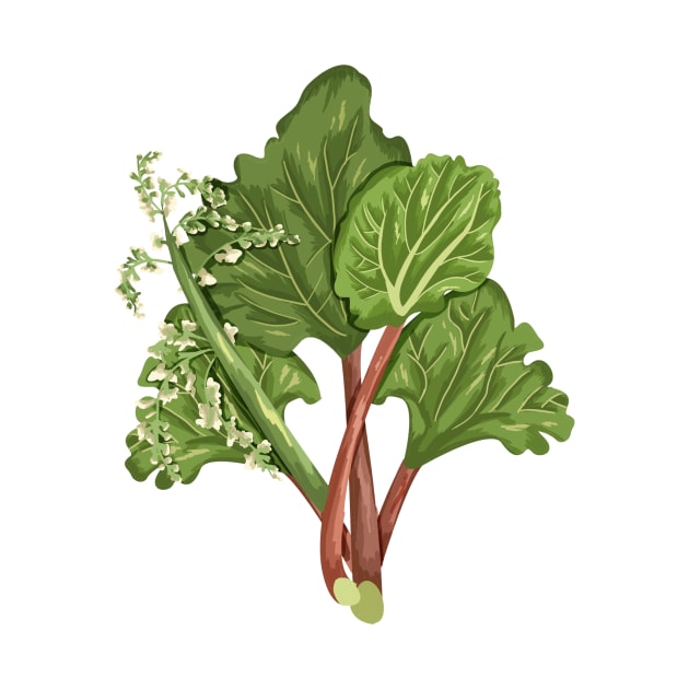 Rhubarb Plant  Botanical by Salfiart