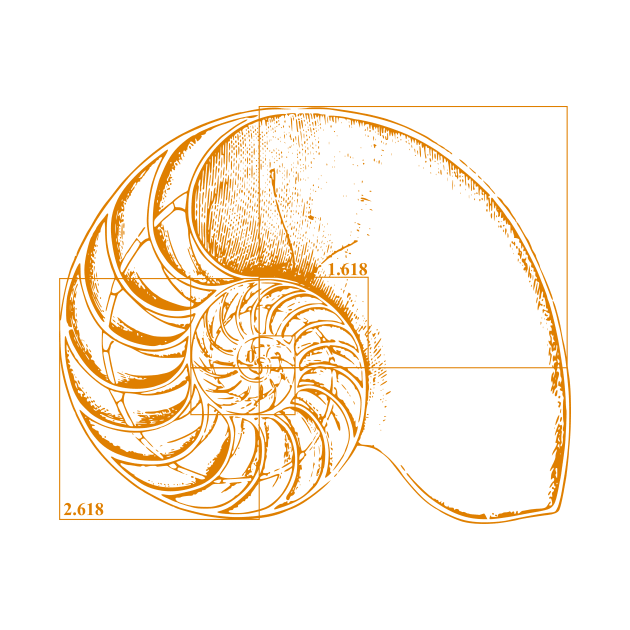 Fibonacci on a nautilus shell (orange) by funmaths