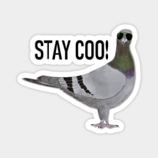 Stay Coo, Says the Pigeon Magnet