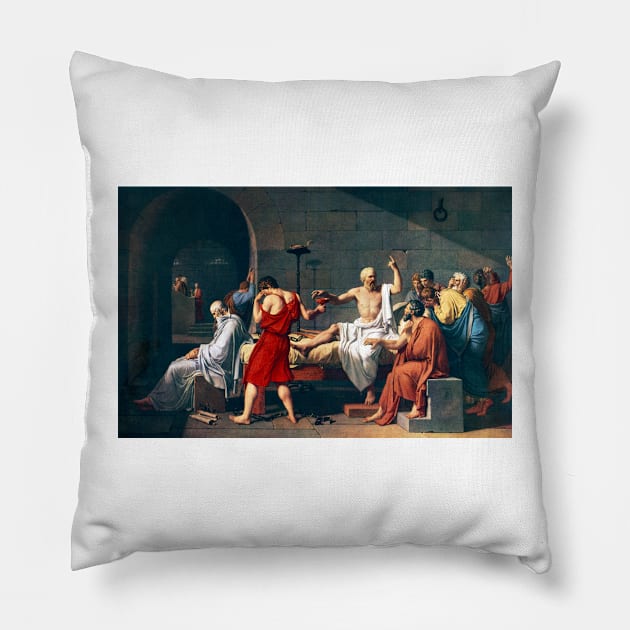 The Death of Socrates, 1787 artwork (H419/0519) Pillow by SciencePhoto