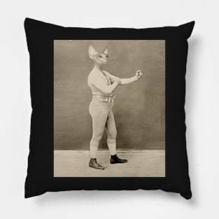 Temple Boxer Pillow