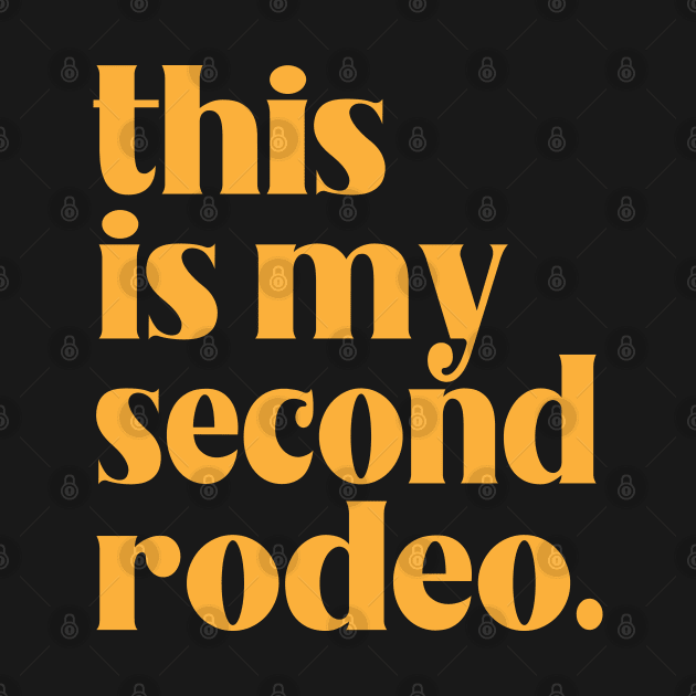 This is my second rodeo - Not Quite a Noob, but Definitely Not a Pro by ZaikyArt