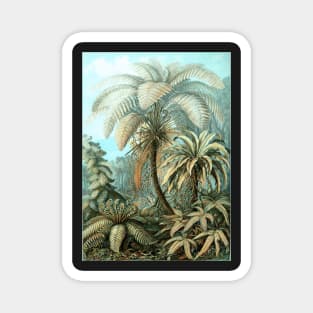 Botanical, vintage, ferns, palm trees, rainforest Magnet